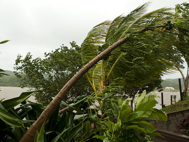 Rischio ciclone Rischio ciclone